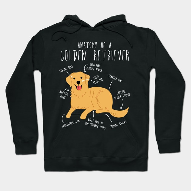 Golden Retriever Anatomy Hoodie by Psitta